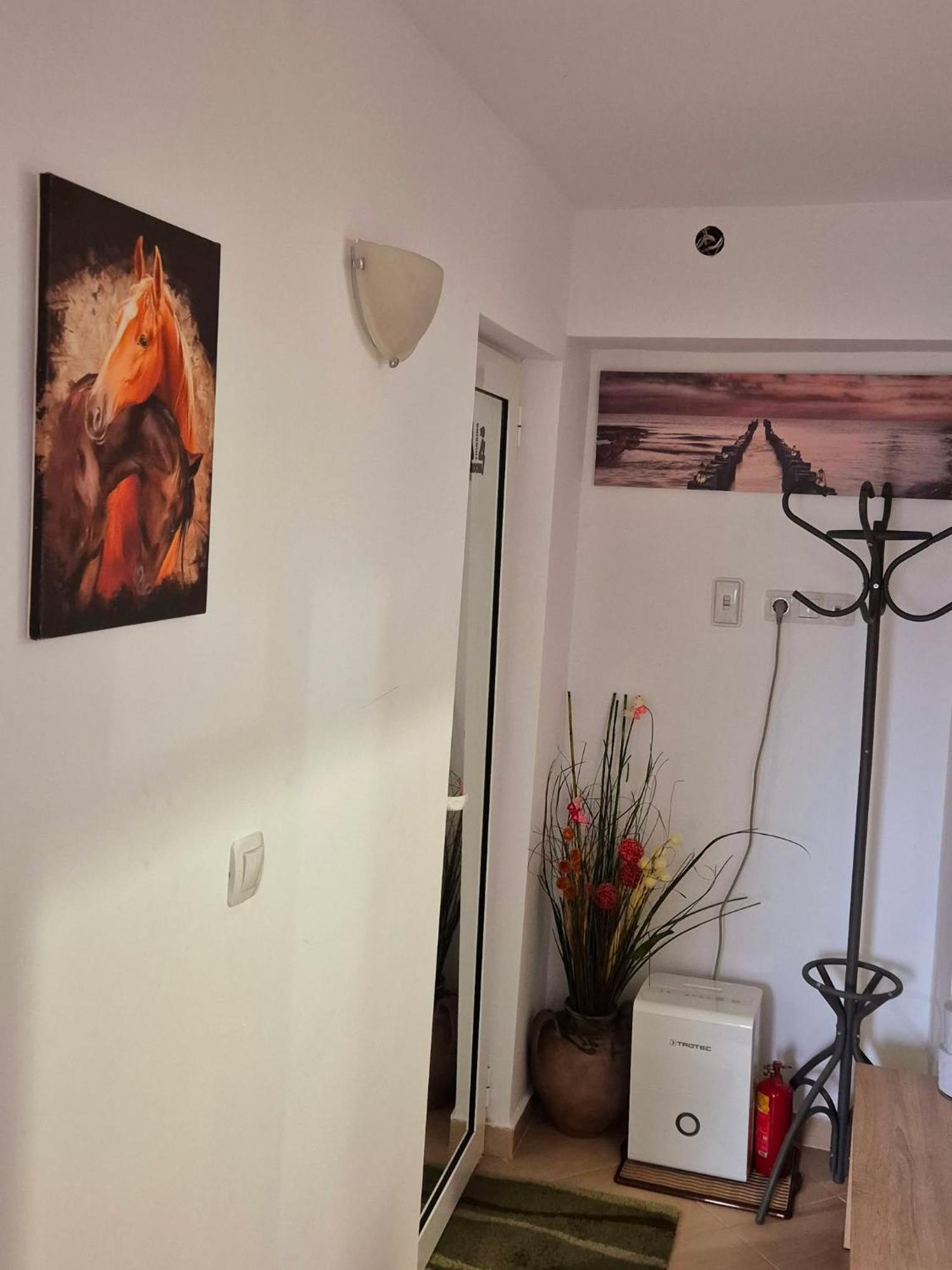 Apartment Shesti Uchastak Gabrovo Exteriör bild